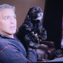 A Visit With George Clooney