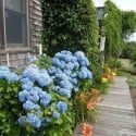 Nantucket Nest For Sale