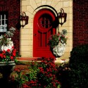 Front Door Home Improvement Ideas