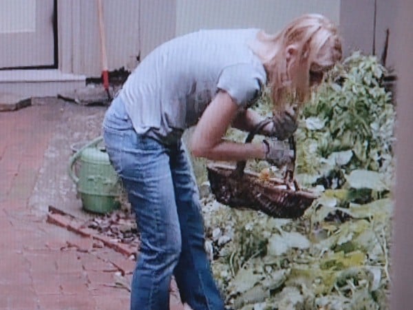 Homeland TV Show Carrie