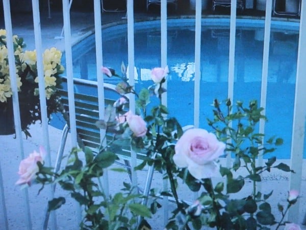 HBO TV Series "Enlightened" pool scene 