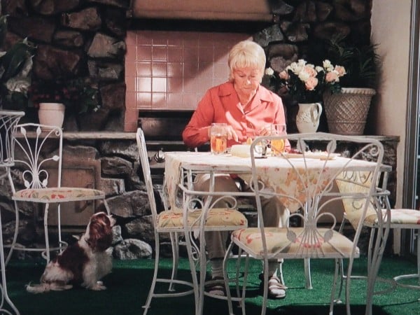 HBO TV Series "Enlightened" and The Mid-Century Style TV House